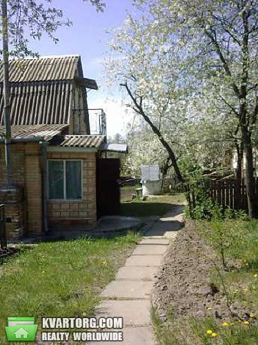 Sell house. Киевская обл., Великая Офирна — photo 6