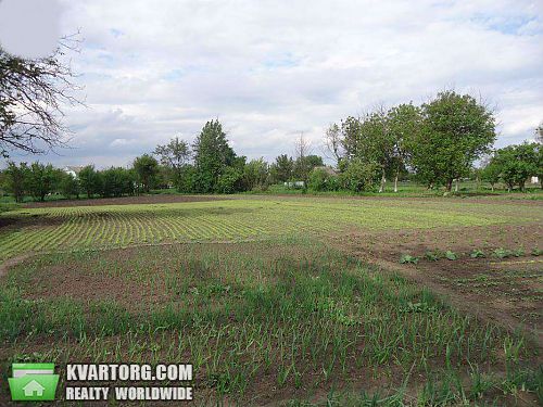 Sell house. Киевская обл., Томчая — photo 6