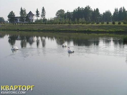 Sell house. Киевская обл., Винницкие Ставы — photo 6