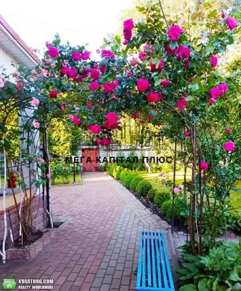 Rent out house. Киев, Центральная — photo 8