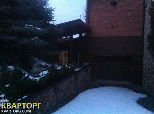 Rent out house. Киевская обл., с. Ходосеевка — photo 9