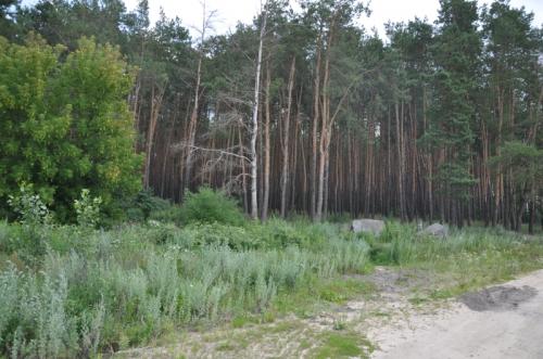 Sell house. Киевская обл., Лесная Песня Колонщина — photo 3