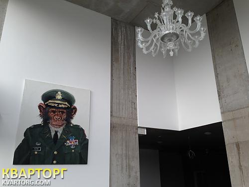 Rent out office. Киевская обл., Счастливое — photo 7