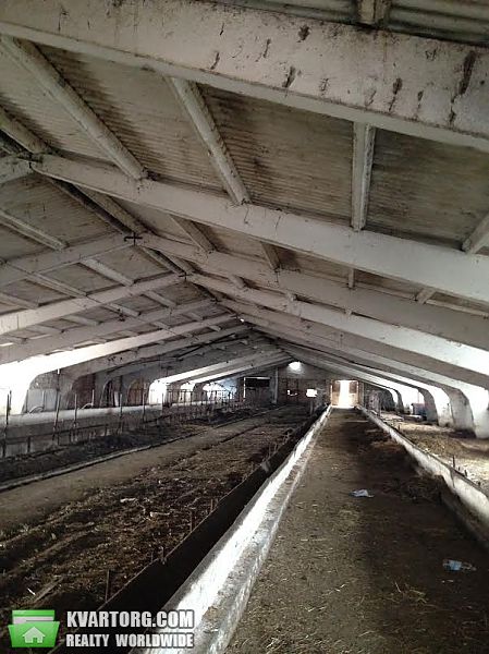 Buy warehouse. Киевская обл., Киев — photo 1