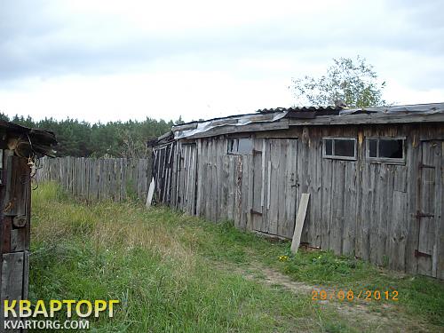 Sell house. Киевская обл., Киевская — photo 5
