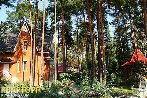 Rent out house. Киевская обл., Романков — photo 1