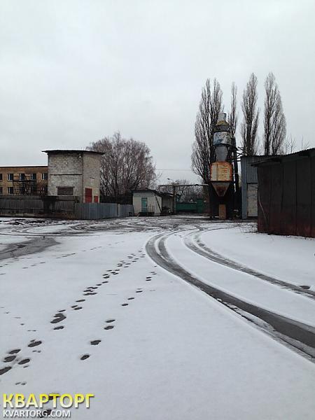 Sell warehouse. АР Крым, Калиновка — photo 1