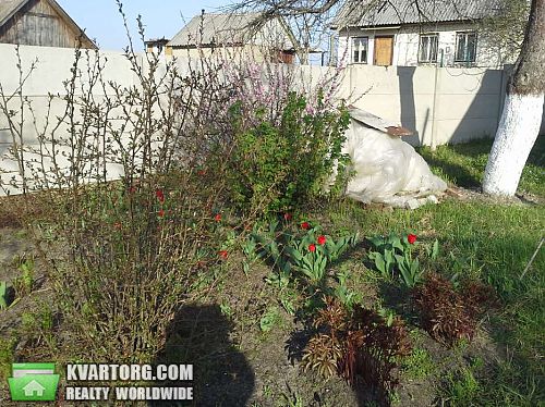 Sell house. Киевская обл., Кухари — photo 4