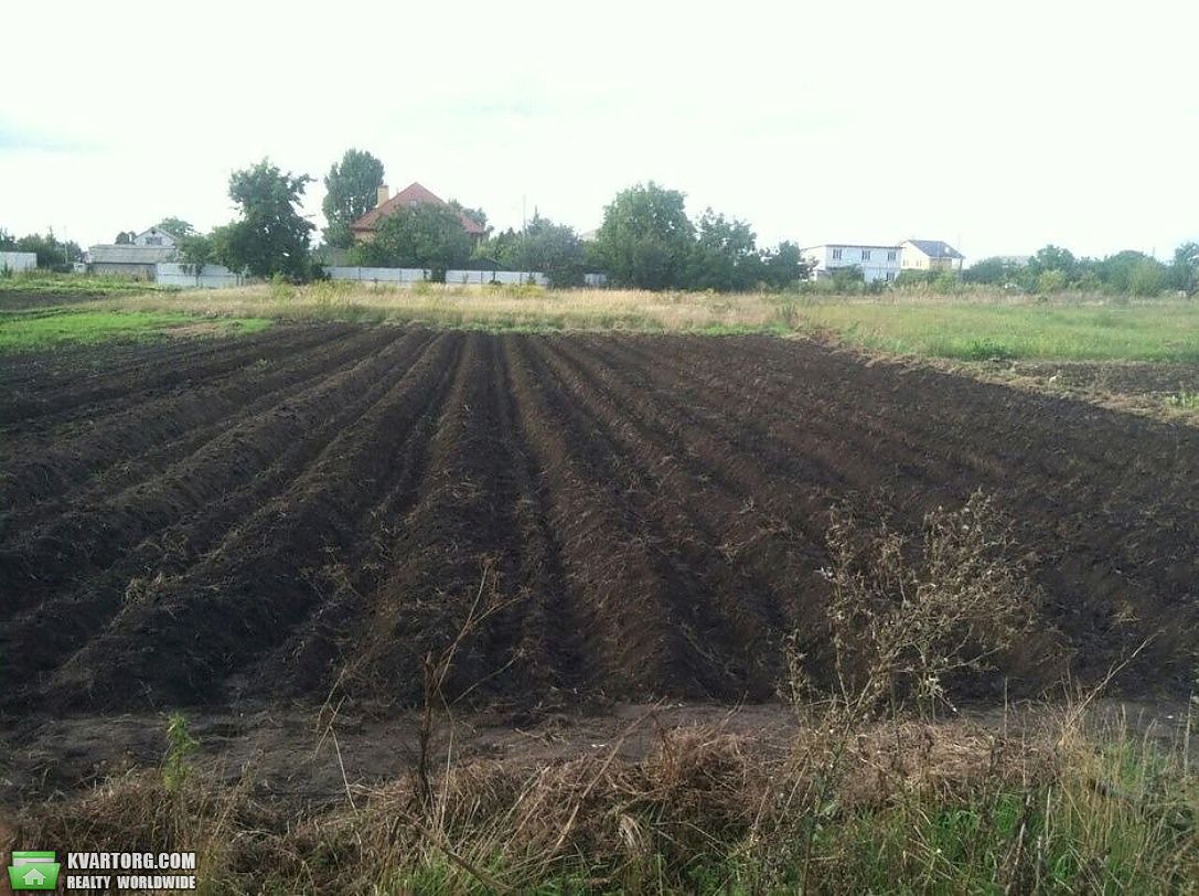 Sell house. Киевская обл., Іванків — photo 2