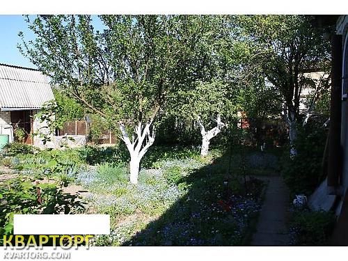 Sell house. Васильков, Кожуховка — photo 3