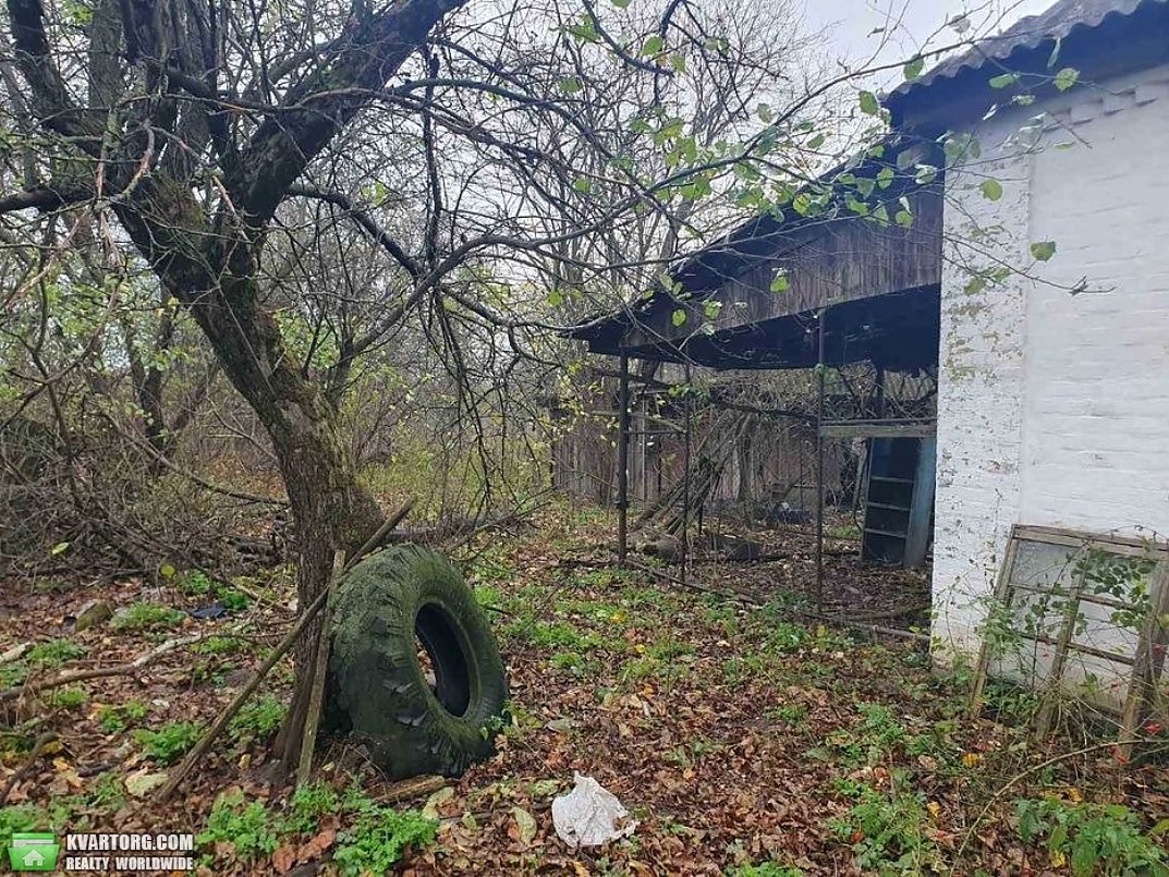Sell house. Киевская обл., Катюжанка — photo 5
