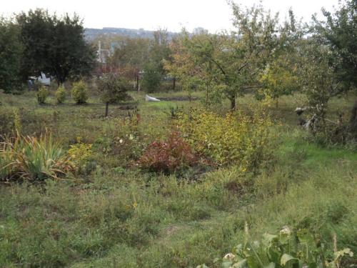 Rent out house. Днепропетровск, Садовая — photo 5