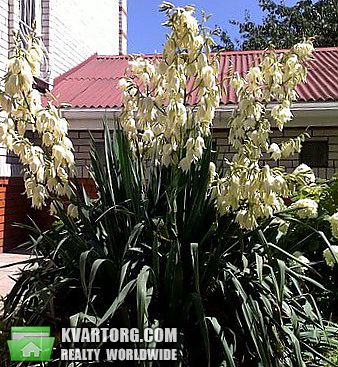 Rent out house. Киев, Садовая — photo 3