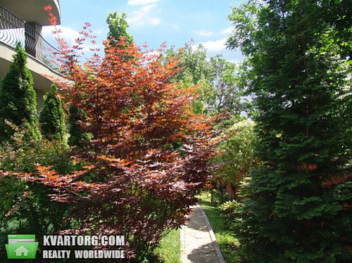 Sell house. Киев, Ольшанская — photo 7