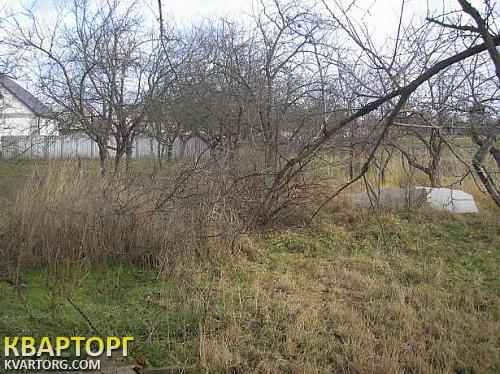 Sell house. Киевская обл., Плесецкое — photo 5