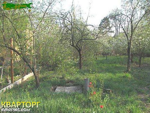 Sell house. Киевская обл., часть дома — photo 1