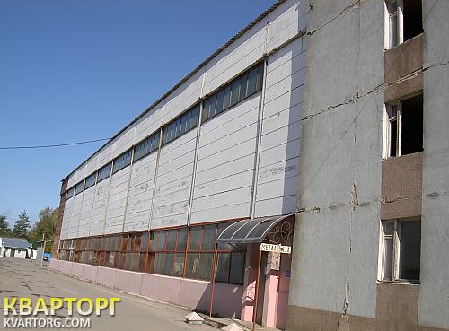 Rent out warehouse. Ровно,  Строителей — photo 8