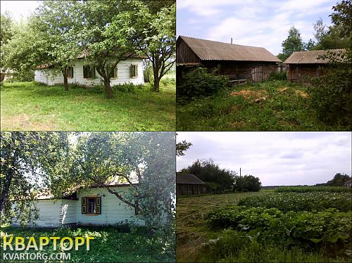Sell house. Киевская обл., с. Лутава — photo 2