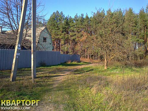 Sell house. Васильков, Плесецьке — photo 1