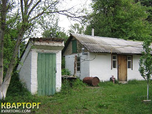 Sell house. Киевская обл., Небрат — photo 5