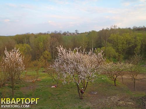Sell house. Киевская обл., с.Демивщина — photo 6