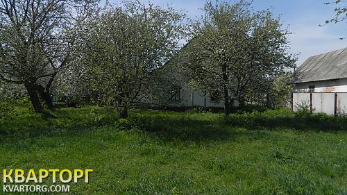 Sell house. Киевская обл., с.Гребёнки — photo 3
