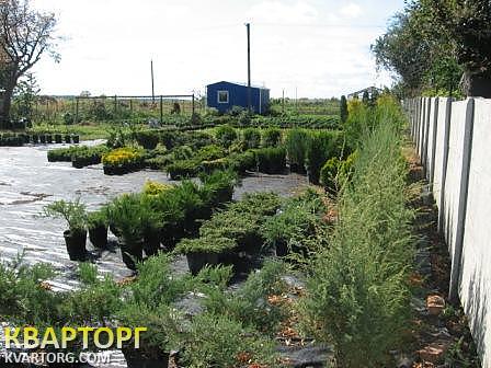 Sell house. Киевская обл., Митница — photo 3