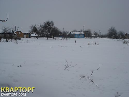 Sell house. Киевская обл., село Даниловка — photo 2