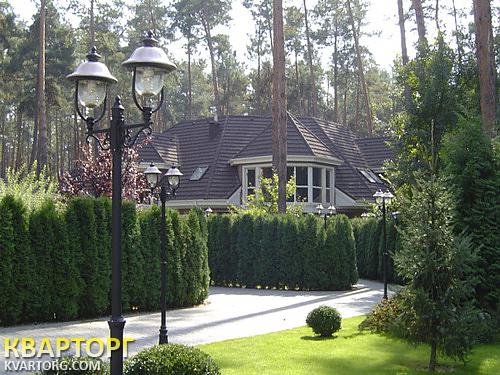 Sell house. Киевская обл., Плюты — photo 3