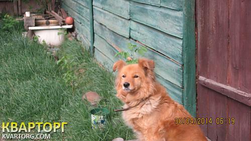 Sell house. Сумская обл., Воронежский пер. — photo 3