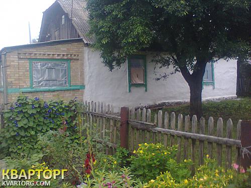 Sell house. Киевская обл., главная — photo 2