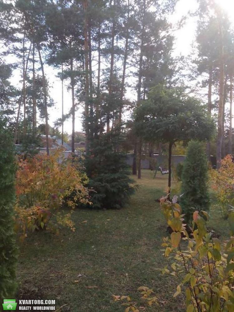 Rent out house. Киевская обл., Подгорцы — photo 10