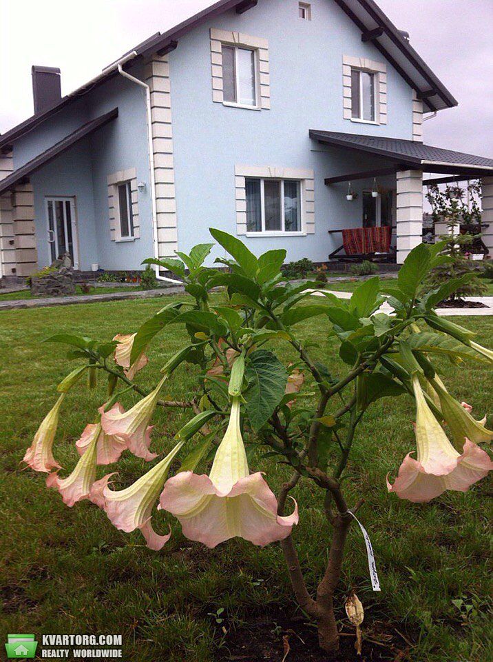 Sell house. Киевская обл., Одесская — photo 1