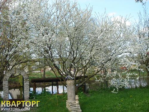 Sell house. Киев, Романков — photo 3