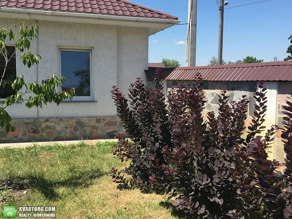 Sell house. Киевская обл., Лысенка — photo 6