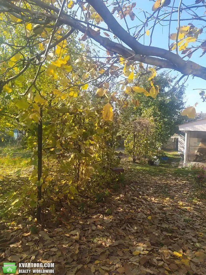 Sell house. Киевская обл., с.Плахтянка — photo 2