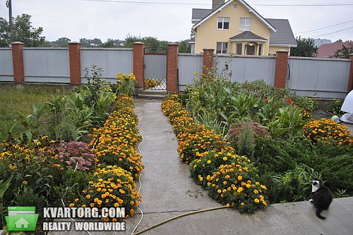 Sell house. Киевская обл., Ленина — photo 2