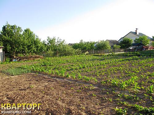 Sell house. Киевская обл., Петровское — photo 5