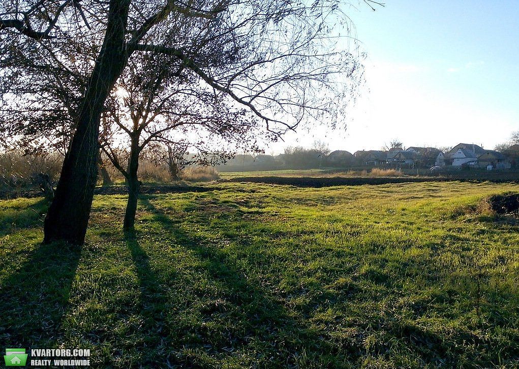 Sell house. Киевская обл., Суворова — photo 4