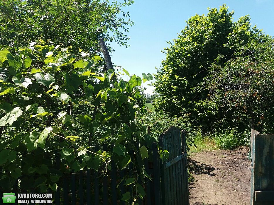 Sell house. Киевская обл., Чередника — photo 4