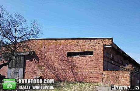 Rent out warehouse. Киевская обл., Ракитное — photo 1