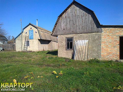 Sell house. Васильков, Плесецьке — photo 7