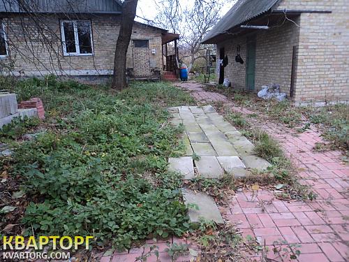 Sell house. Киевская обл., Халепье — photo 2