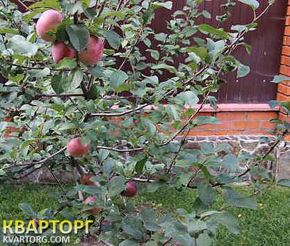Sell house. Киевская обл., Киевская — photo 2