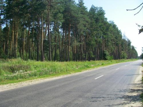 Sell house. Киевская обл., Мархалевка — photo 10