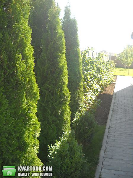 Sell house. Киевская обл., Садовая — photo 4