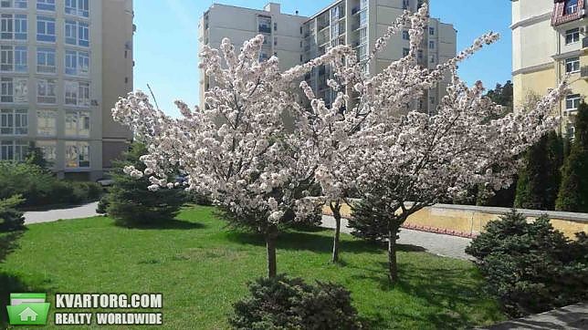 Rent out 1-room apartment. Киев, Лобановского — photo 5