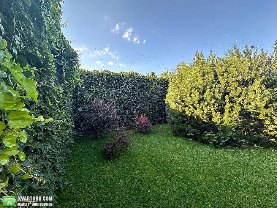 Sell house. Киев, центральна — photo 9