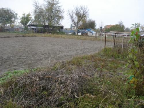 Sell house. Киевская обл., Гагарина — photo 3
