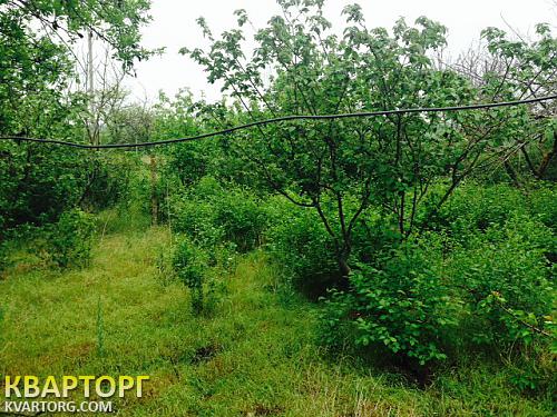 Sell house. Одесса, Егоровка — photo 4